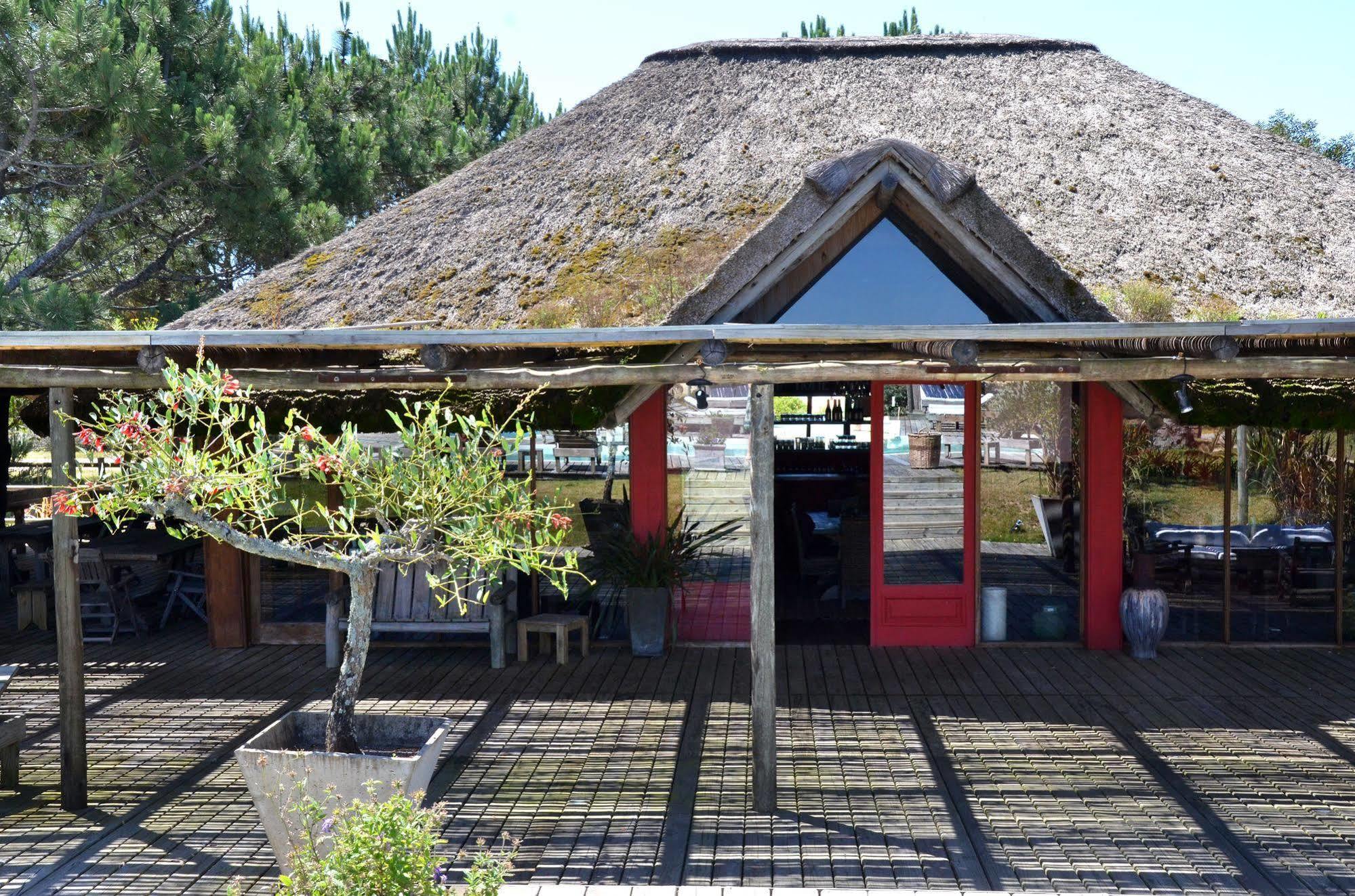 Casa Suaya Hotel Jose Ignacio  Bagian luar foto