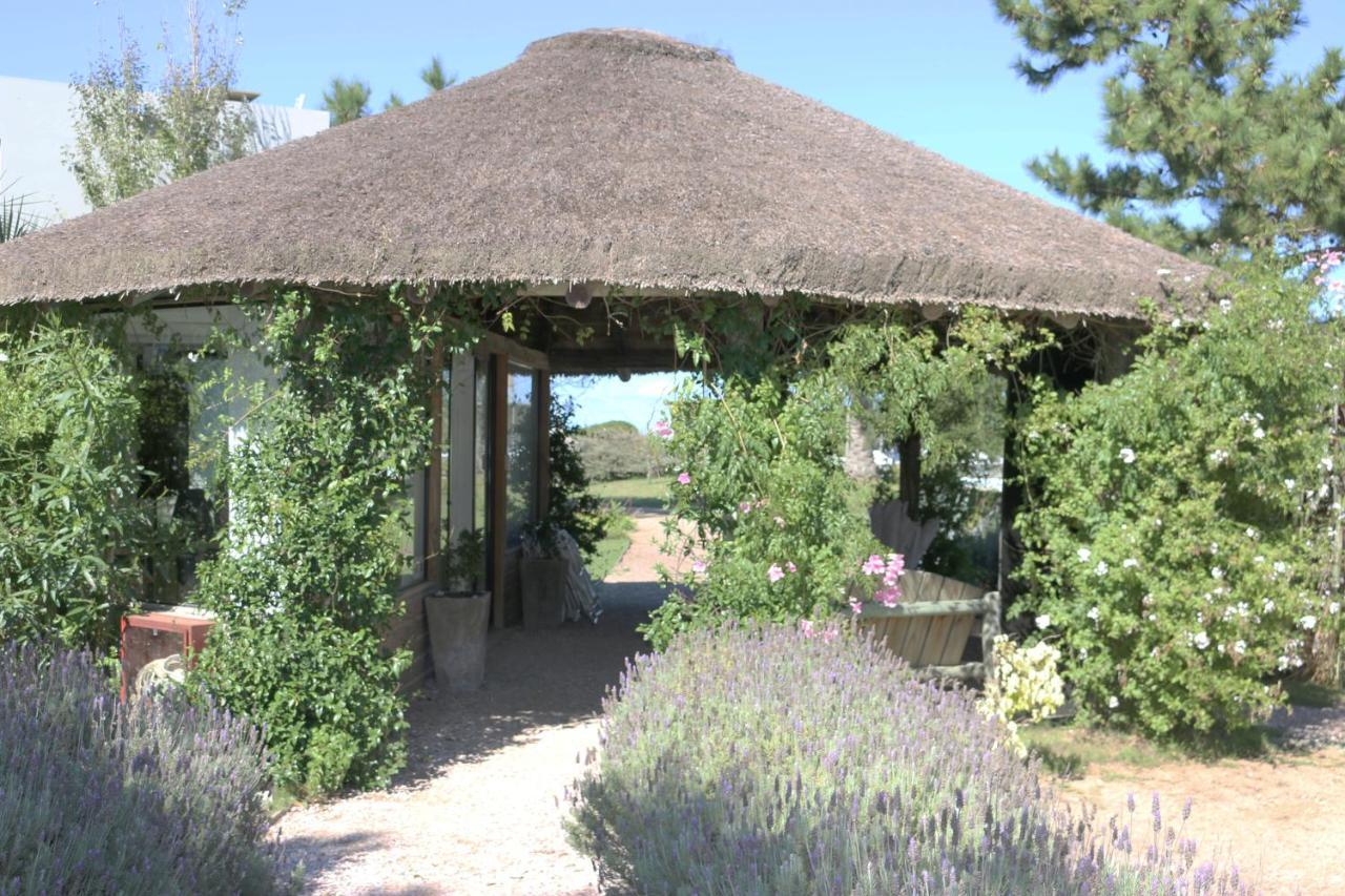 Casa Suaya Hotel Jose Ignacio  Bagian luar foto